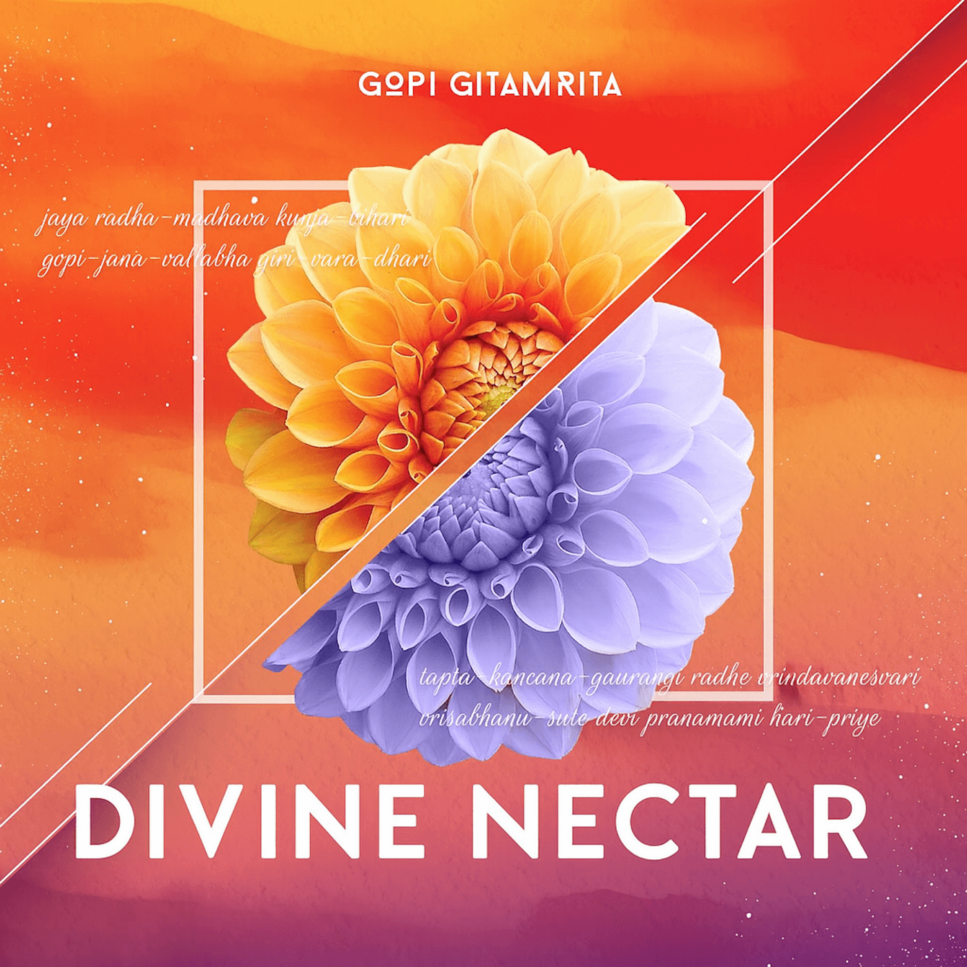 Divine Nectar album cover by Kirtan Rasa